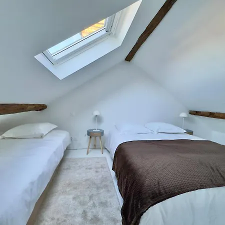 Apartment Duplex - 5 Min Insead - Close To Forest And Castle *
